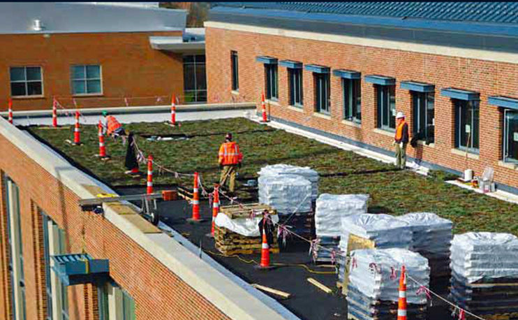 Webster University - Green Roof