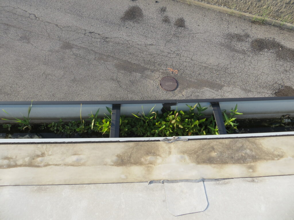 Clogged gutter