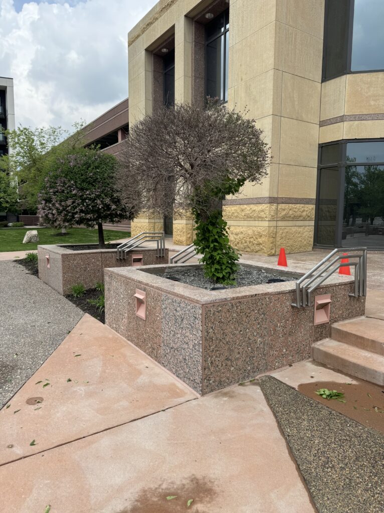 Completed planter after work
